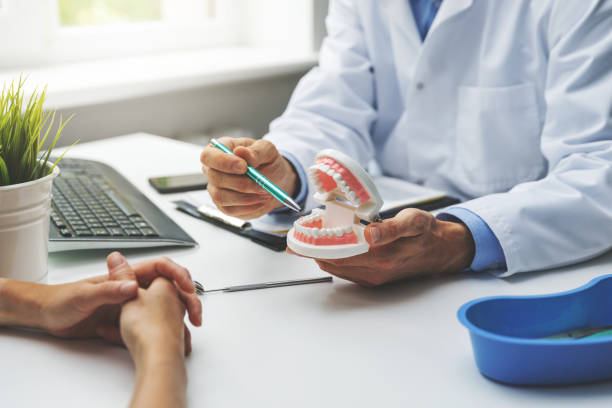  Conesus Lake, NY Holistic Dental Care Services Pros